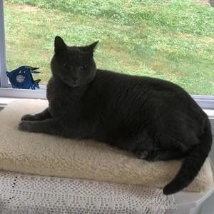 Meet your Posher, Dee anne